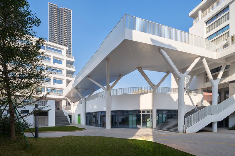 Entrance canopy with white branching steel columns supporting a flat roof over glazed facade