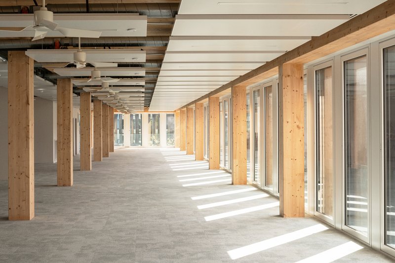 Long interior corridor with exposed timber columns, white ceiling slats and sunlight streaming across concrete floor