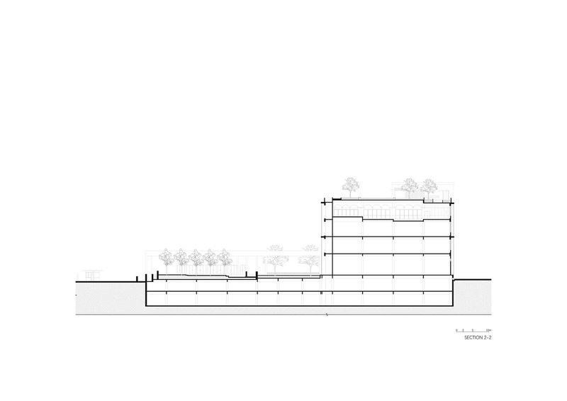 Section drawing showing the horizontal base with planted terraces and trees against grade
