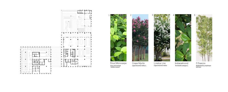 Multi-level floor plan drawings with a companion panel displaying five plant species in labeled columns
