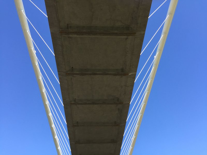 View from below showing the concrete deck underside framed by paired white arches and cable rigging