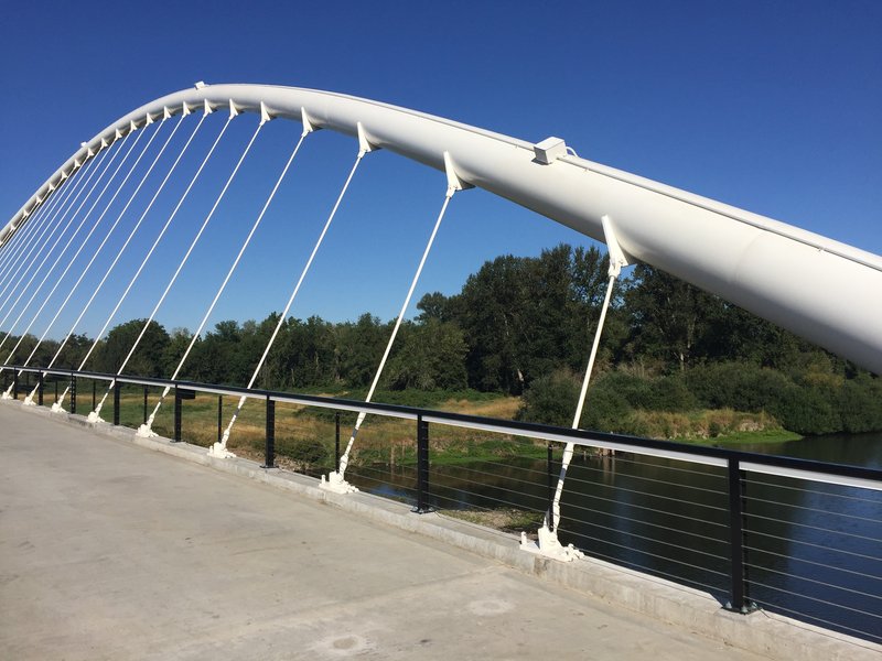 Bridge deck walkway with cable railings and horizontal metal barriers overlooking the vegetated riverbank