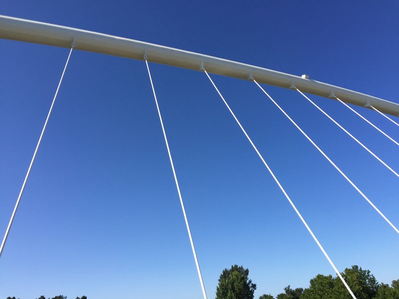 Upward view of radiating suspension cables attached to the curved white steel arch
