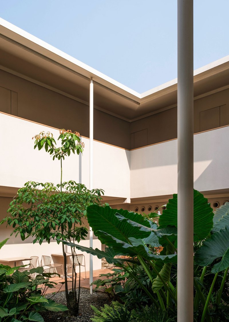 Interior courtyard planted with banana leaves and small tree beneath a bright afternoon sky
