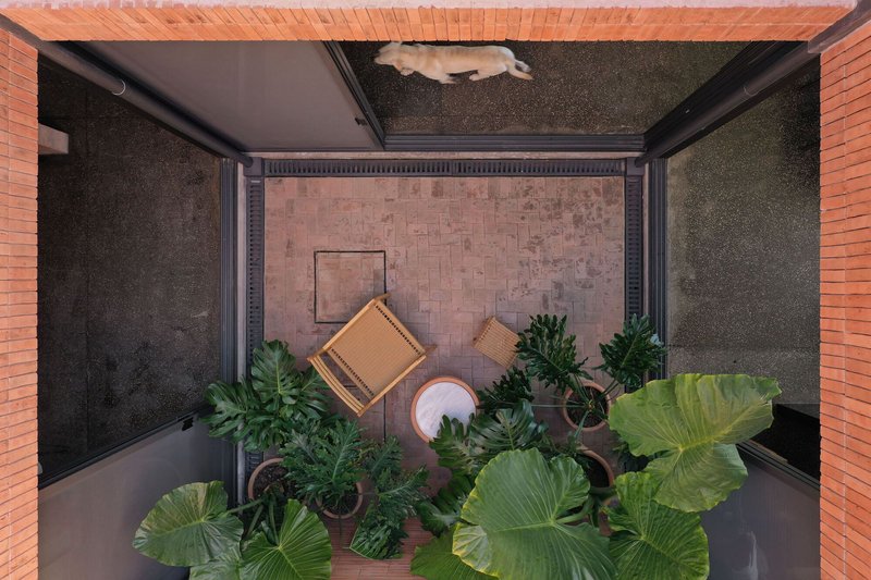 Overhead view into courtyard planted with large-leaved tropicals surrounded by brick and concrete walls