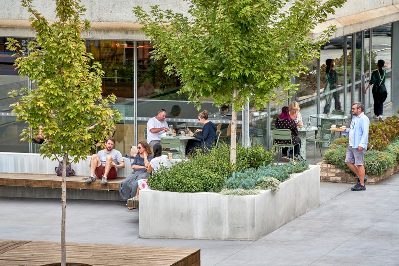 Concrete planter beds with young trees and seating areas where people gather beside glazed shopfront