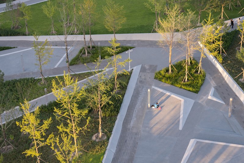 Aerial view of paved plaza with young trees, planted beds, and person seated near pathway