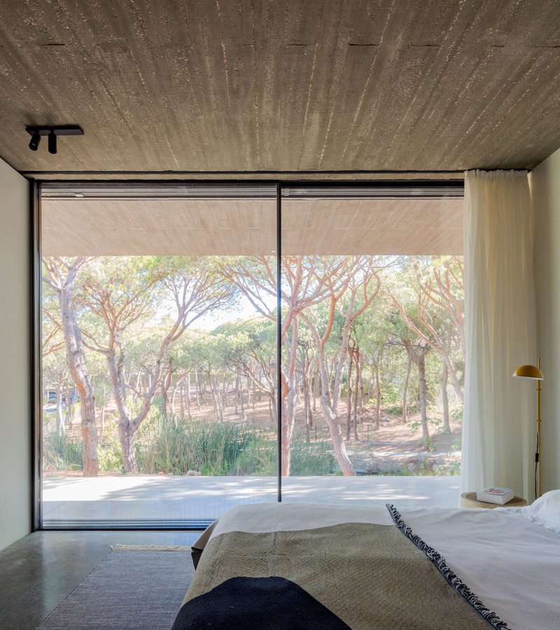 Floor-to-ceiling window framing view of pine forest from bedroom with sheer roller blinds