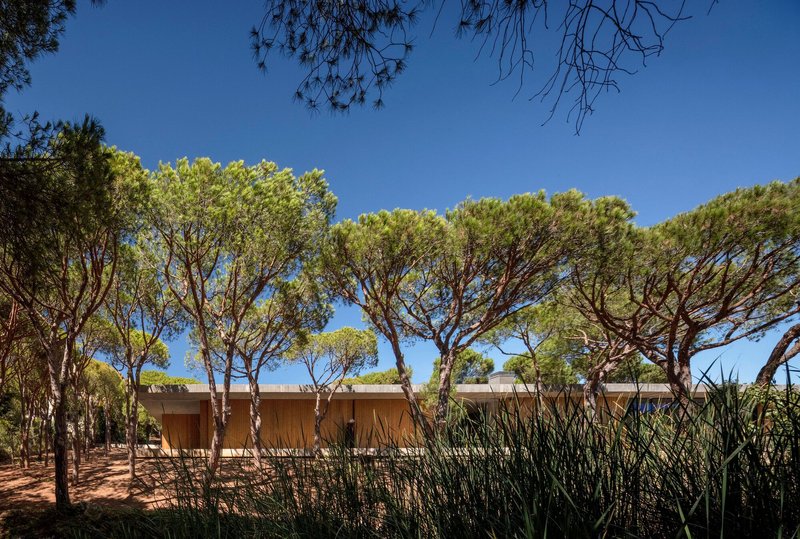 Long facade with flat roof behind stone pines and tall agave plants in sandy earth