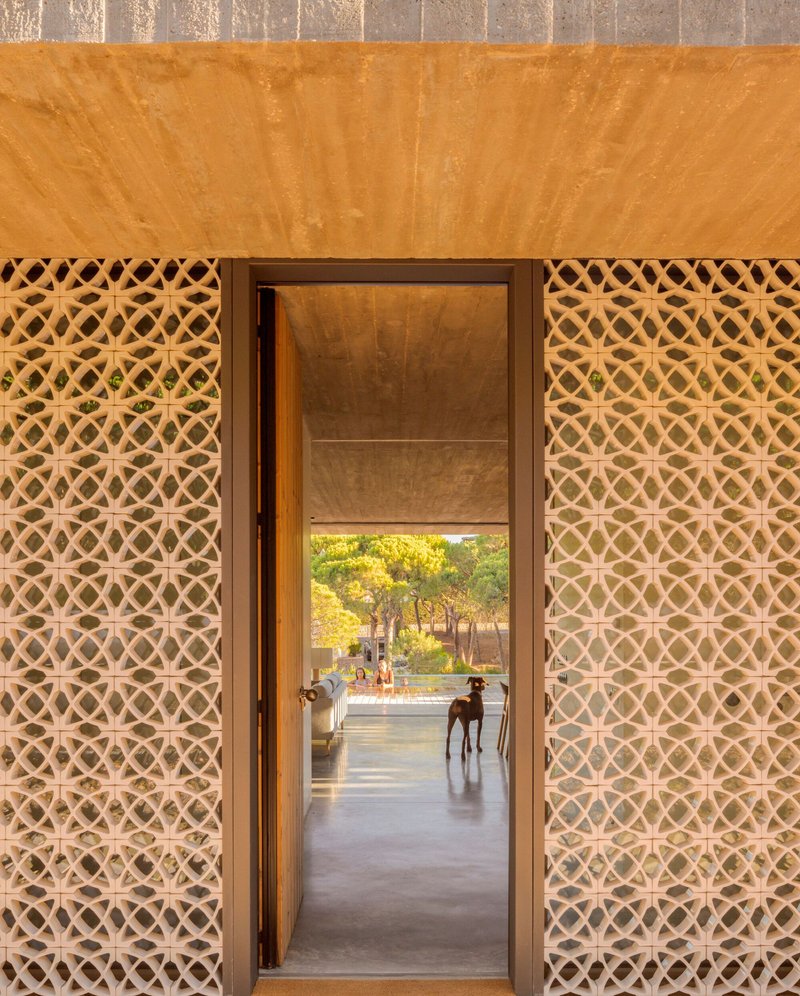 Doorway framed by diagonal lattice screens opening to a terrace with a dog standing in the threshold