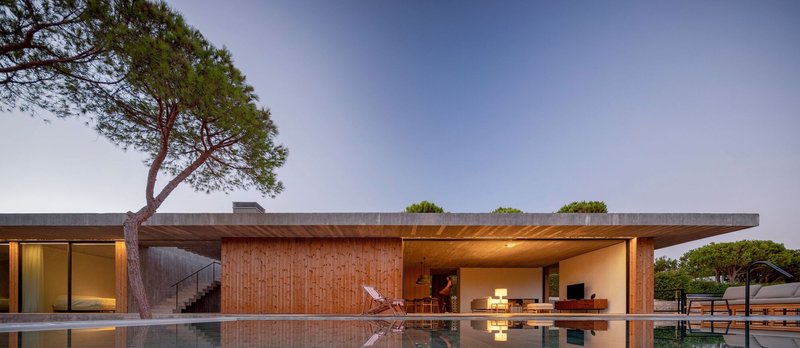 Flat-roofed pavilion with timber-clad wall beside reflecting pool and leaning pine tree at dusk