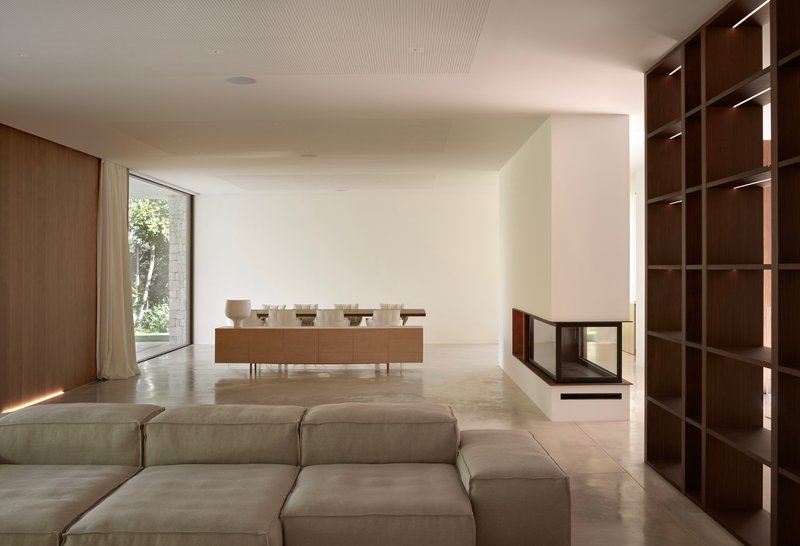 Living room with white fireplace insert and walnut shelving wall overlooking the dining area