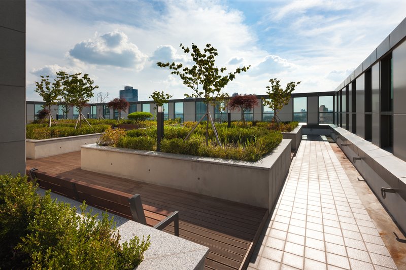 Rooftop garden terrace with concrete planters, timber benches, and deciduous trees against cloudy skies