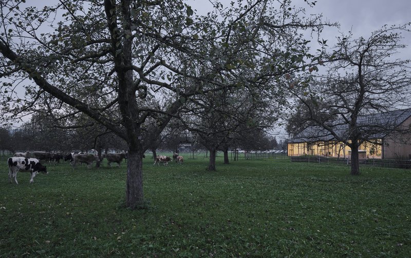 MWArchitekten Builds a Farm Kindergarten That Thinks Like a Barn in Hohenems, Austria