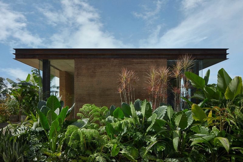 Rammed earth facade with tall ornamental grasses backed by banana plants under a flat timber overhang