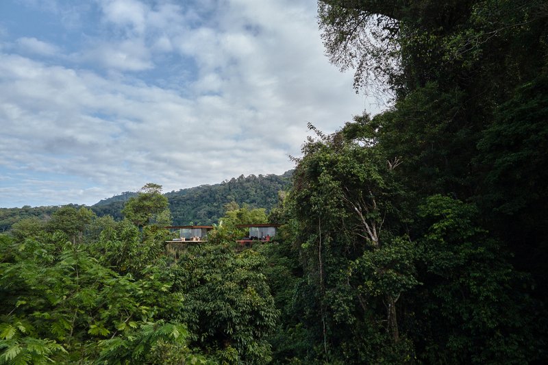 Distant view of the flat-roofed volumes nestled within the dense tropical forest canopy