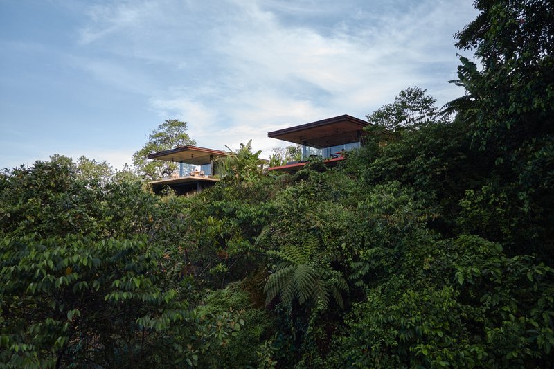 Two pavilions with deep overhangs emerging from lush tropical canopy at dusk
