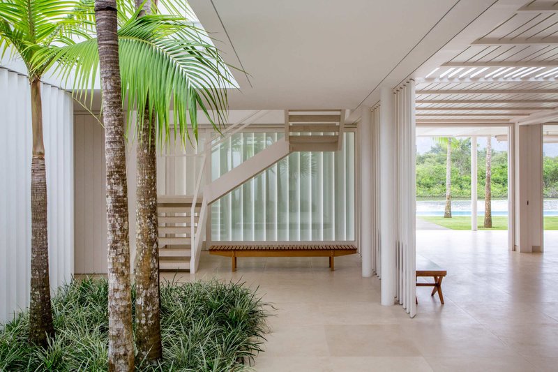 Interior hall with planted palm tree and floating timber staircase beside a translucent glass wall