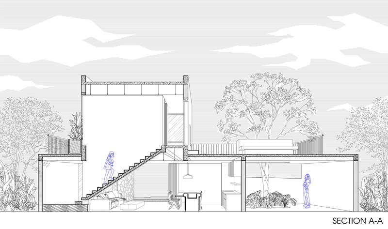 Section drawing revealing split-level spaces with an internal staircase and surrounding trees