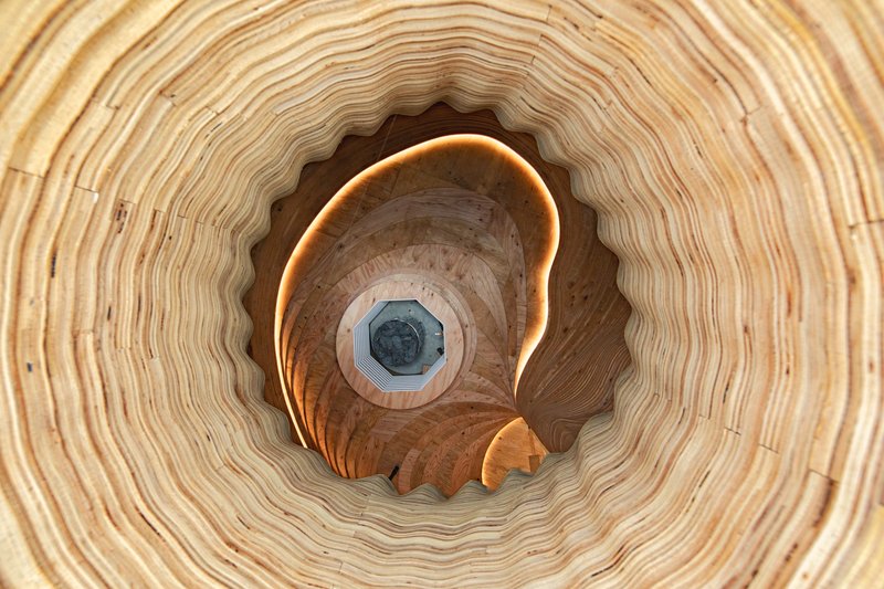 Looking up through the spiraling laminated timber ribs toward a central octagonal skylight