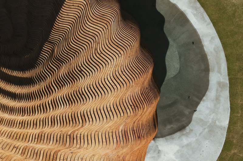 Overhead detail of concentric laminated timber ribs meeting curved white concrete edge beside lawn