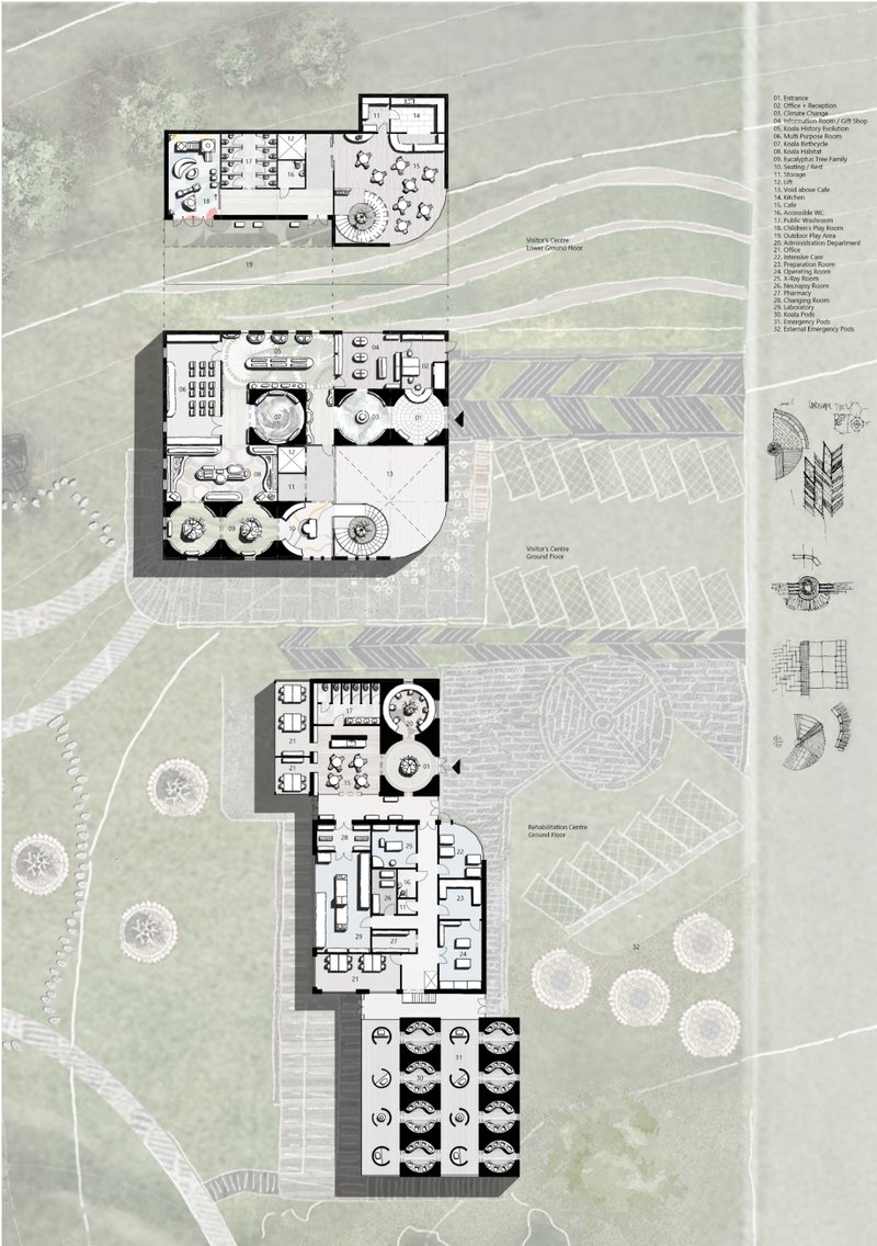 Masterplan of a sustainable koala rehabilitation center integrated with wetlands, educational trails, and ecological landscapes.
