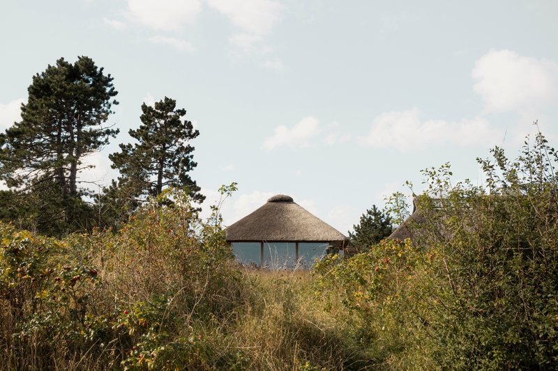 Distant view of the thatched roof pavilion emerging above wild grasses and scattered pines