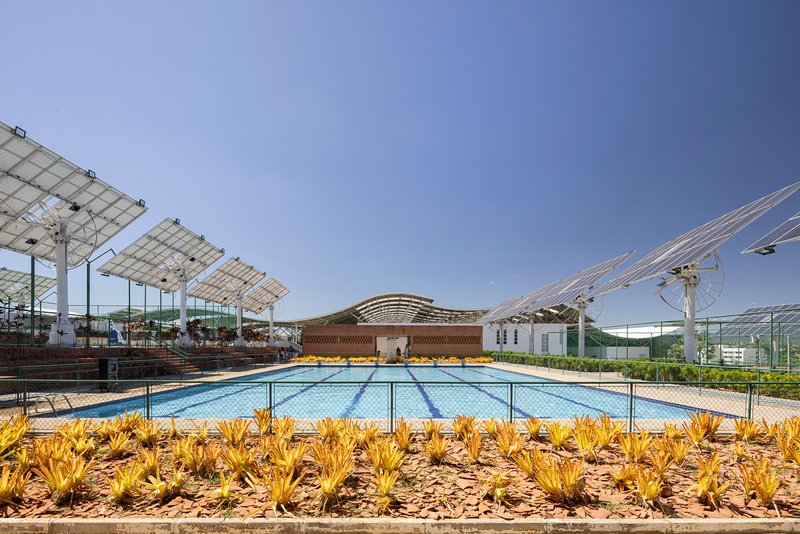View across the lap pool toward the latticed pavilion with planted beds of yellow flowering succulents