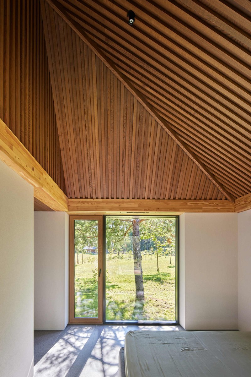Interior room with sloped slatted timber ceiling and corner window framing birch trees outside
