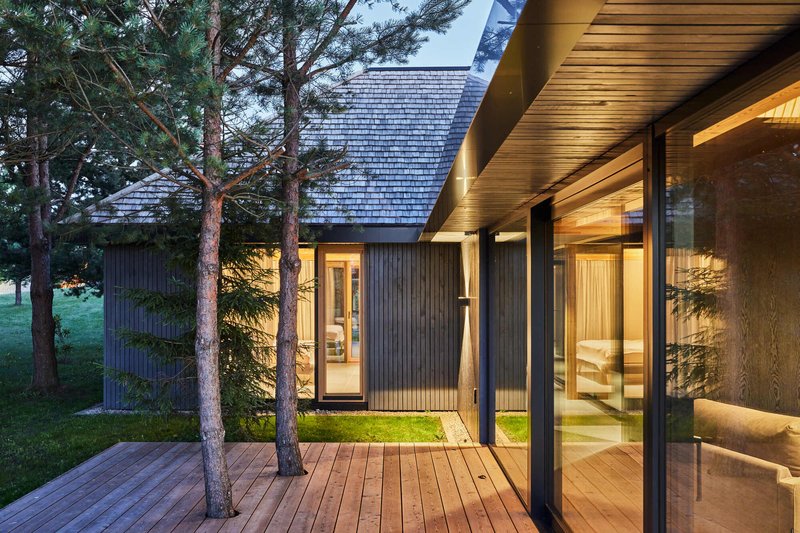 Covered timber deck with preserved pine trees and glass walls illuminated at dusk