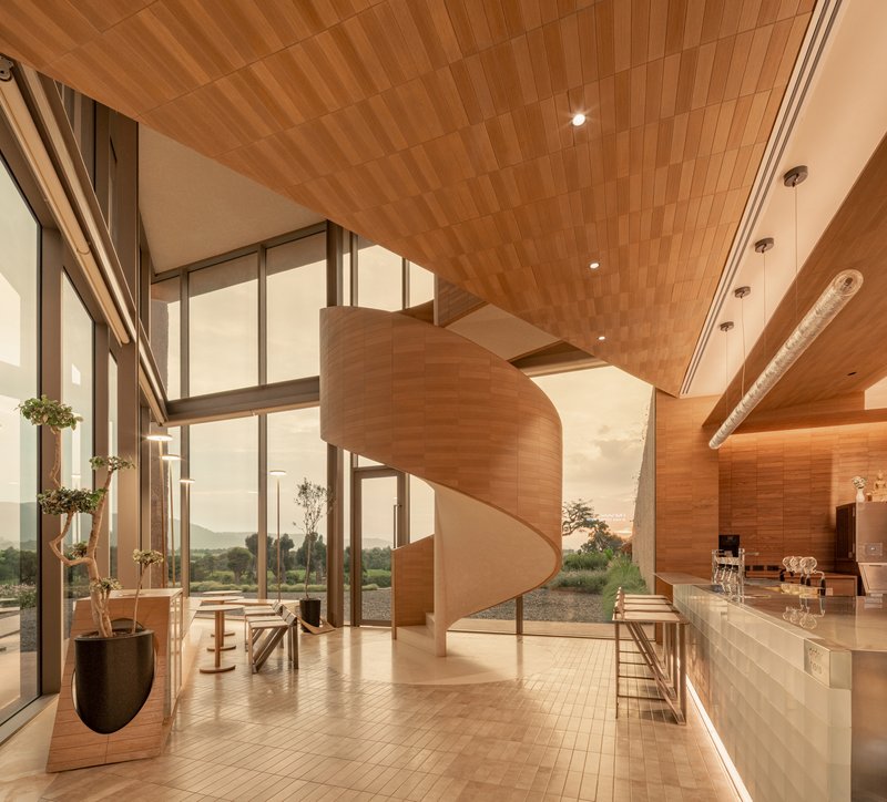 Interior with spiral timber staircase and herringbone wood ceiling lit by warm evening sunlight