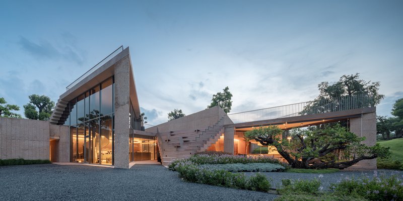Cantilevered concrete volumes with recessed glazing and roof terrace beneath mature trees at dusk