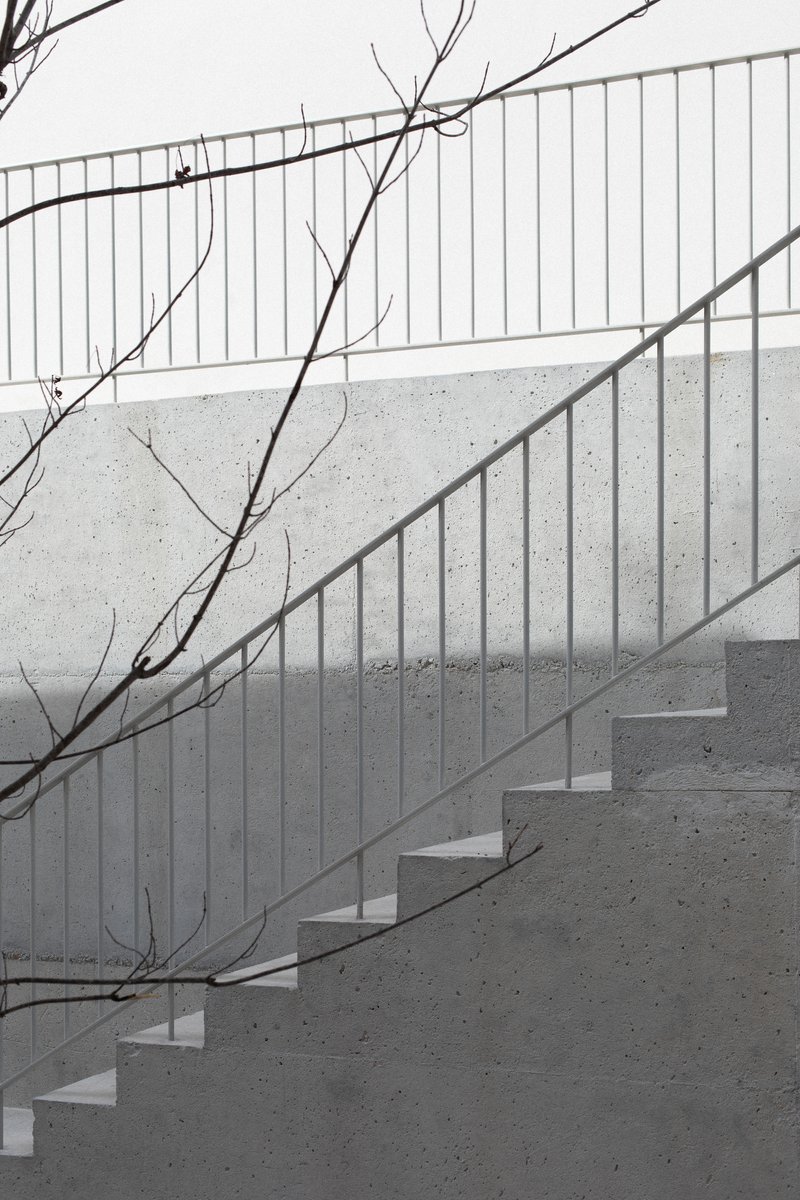 Metal handrail and concrete steps casting diagonal shadow across the wall with bare winter branches