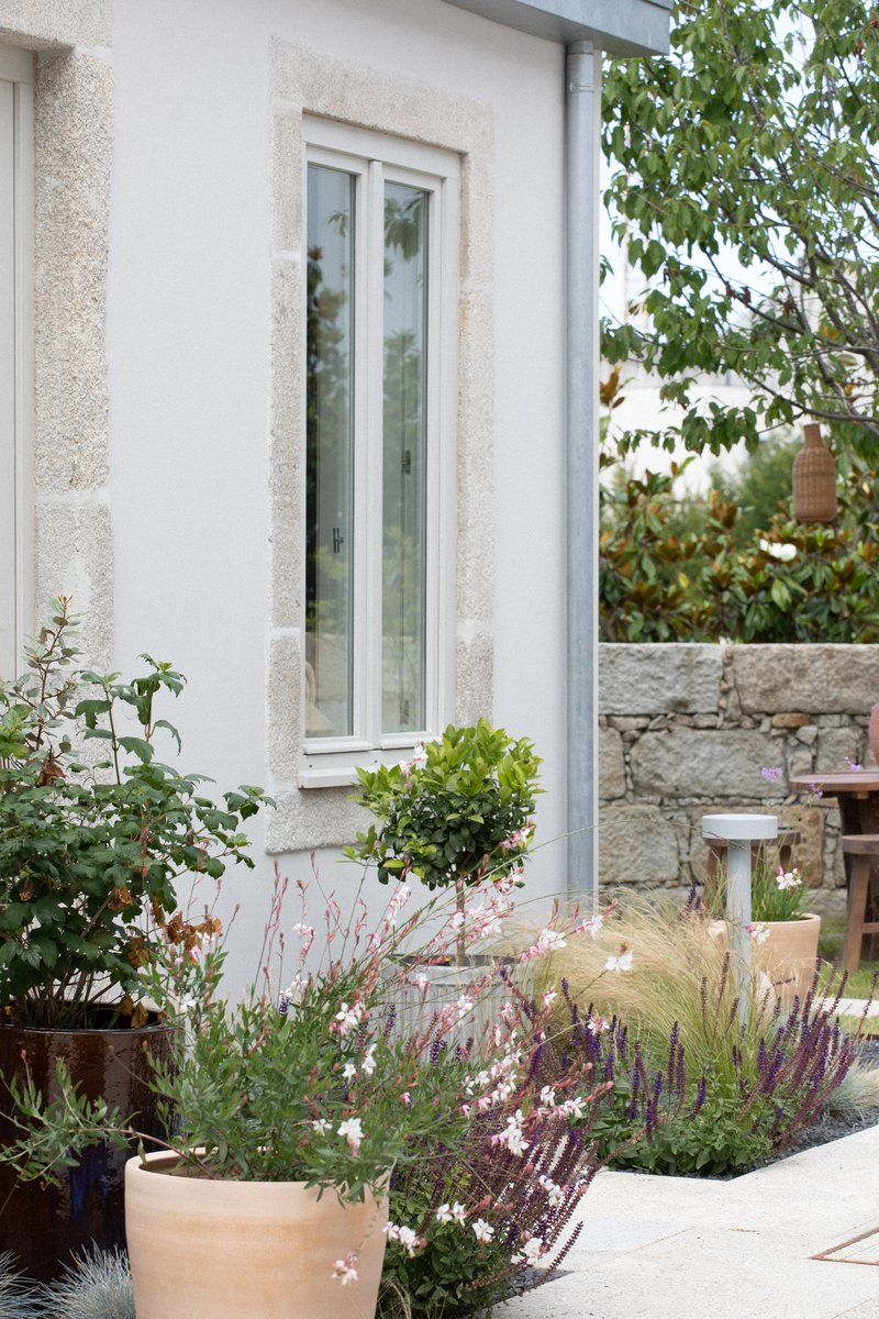 Narrow glazed window with stone surround beside terracotta pots and flowering plants