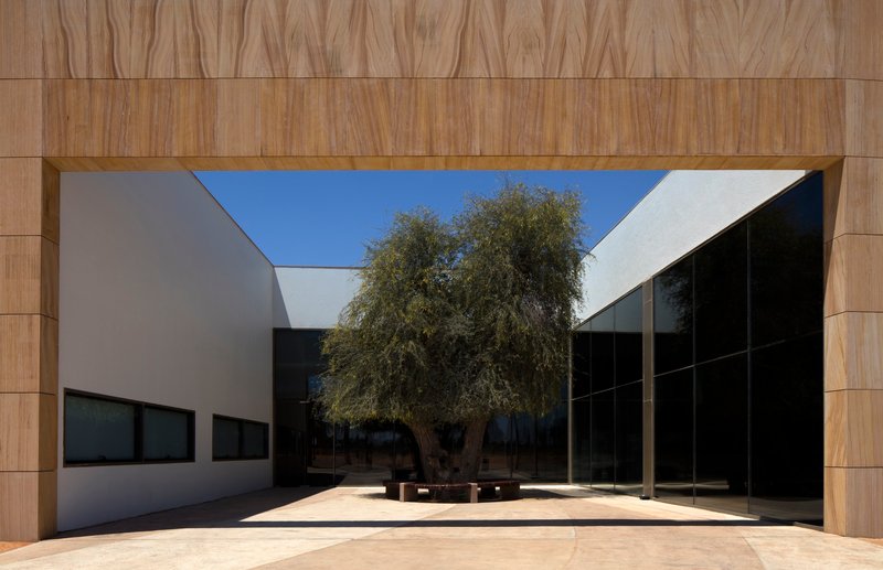 Interior courtyard framed by wood-paneled walls with a single tree casting shadow on the paved ground