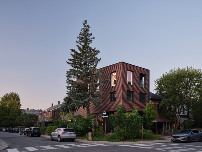 Corner view of the horizontal ribbed copper facade with a tall evergreen tree at dusk