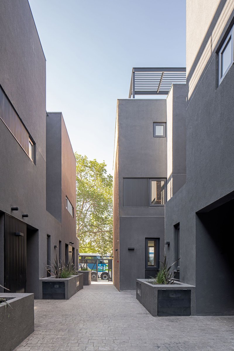 Paved courtyard lane between grey rendered walls with planted concrete boxes and louvered rooftop pergola