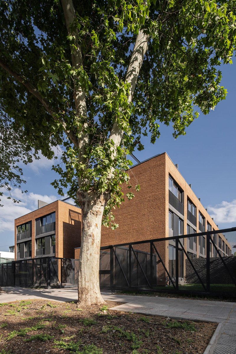 Corner view of the brick volumes beneath a mature plane tree with diagonal metal fencing