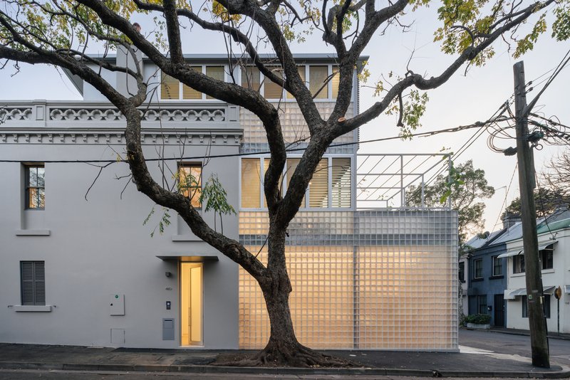 Street facade with translucent glass block wall framed by a bare street tree at dusk
