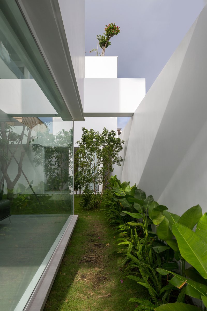 Narrow garden courtyard with stepped white planter and trees between glass walls and white stucco