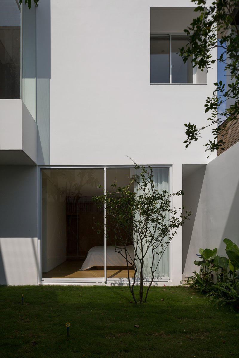 Rear courtyard view with white stucco volumes, glass sliding doors, and a young tree in lawn