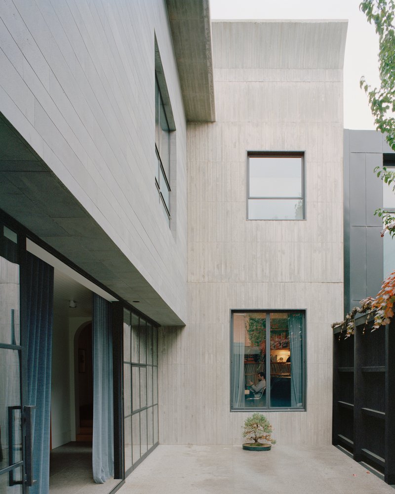 Courtyard view showing pale timber-clad walls with punched windows and a bonsai tree on concrete paving