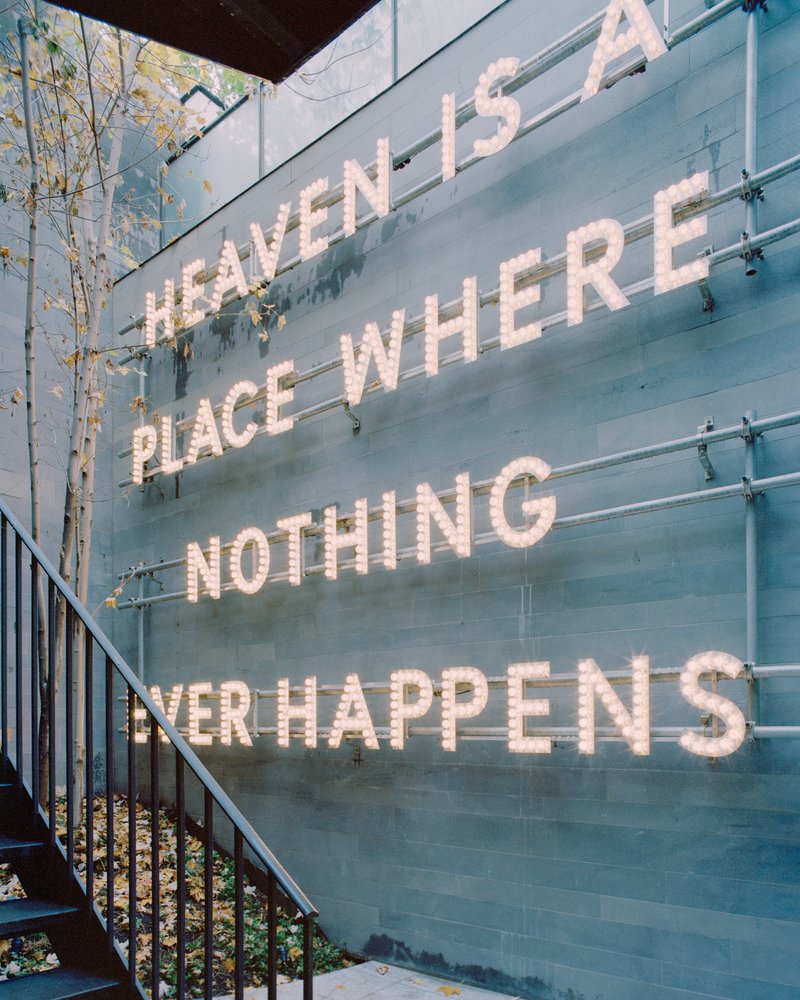 Glass-clad facade with text installation beside planted courtyard in dappled light