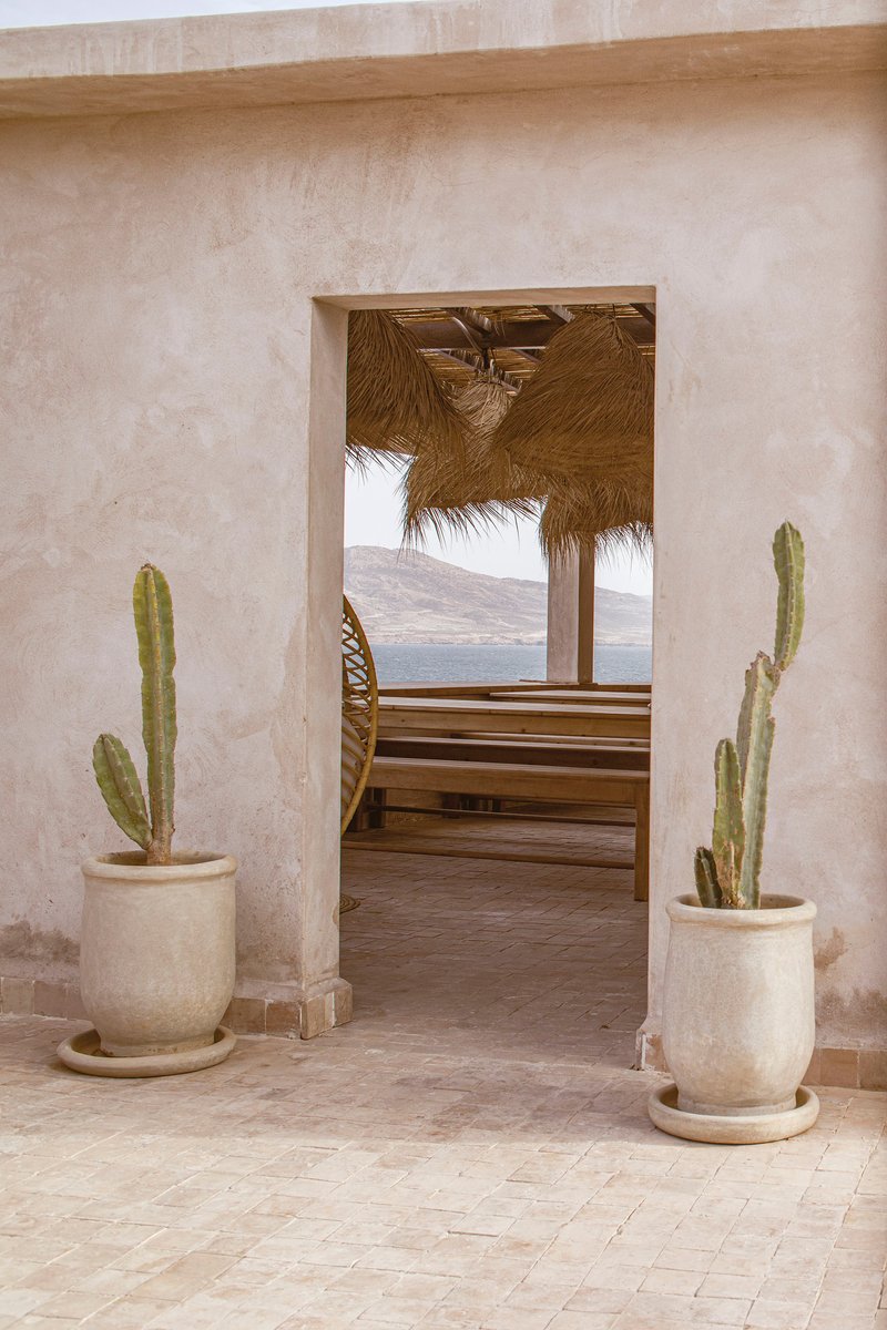 Doorway framed by potted cacti opening to a timber deck with thatch shade structure beyond