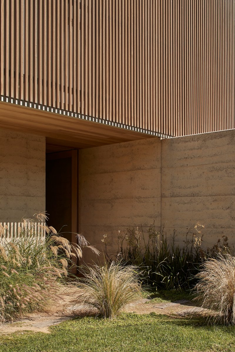 Junction of vertical timber battens and rammed earth wall beside ornamental grasses in afternoon sunlight
