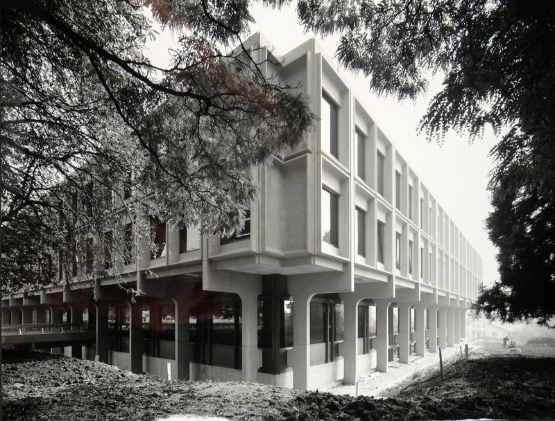 Elevated concrete structure on pilotis with deep recessed windows framed by mature trees in morning mist