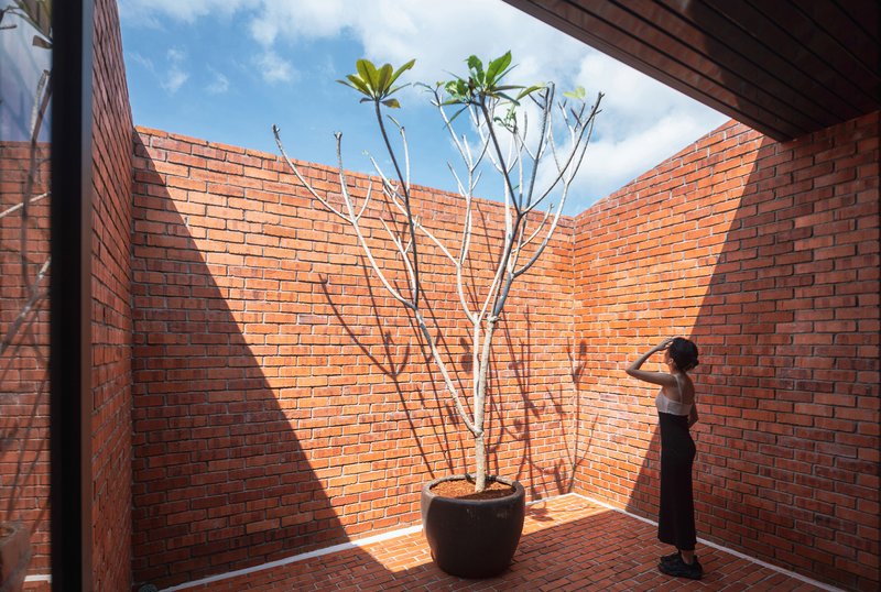 Enclosed brick courtyard with potted frangipani tree casting angular shadows and a person standing beside it