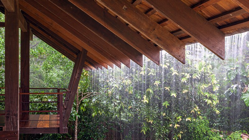 Covered balcony edge with timber beams and diagonal bracing framing rain shower and green vegetation