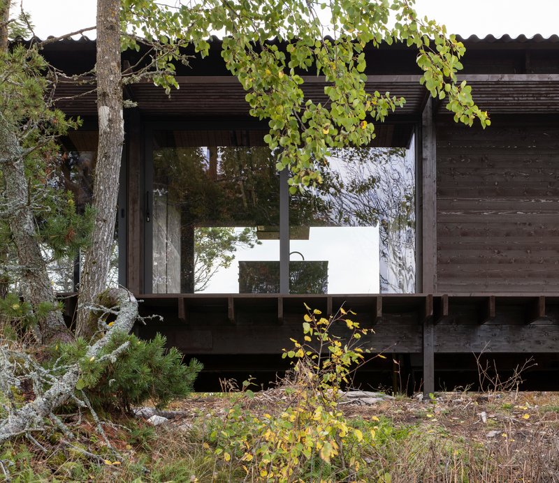 Covered terrace with corrugated metal roof and timber columns framing glass doors beneath overhanging branches