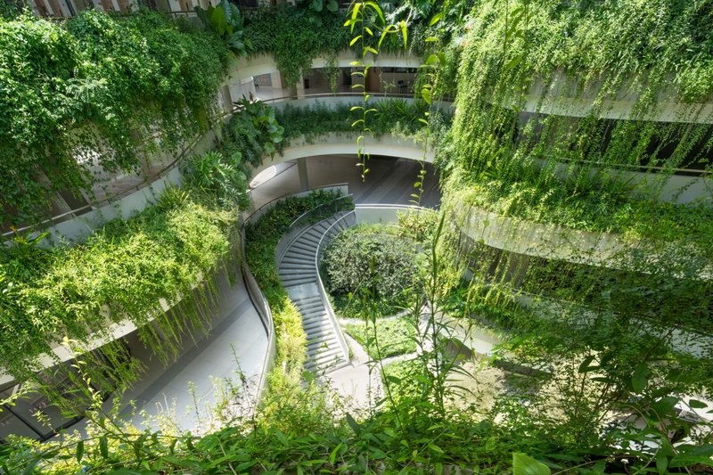 Overhead view of curving ramps with planted edges and young trees spiraling around a central courtyard